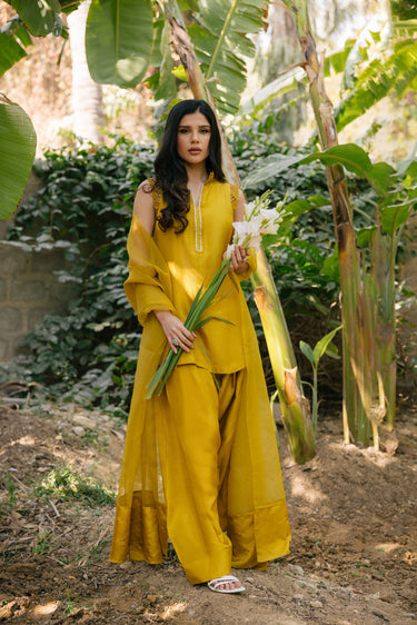 Mustard Yellow Clothing Humayun Alamgir