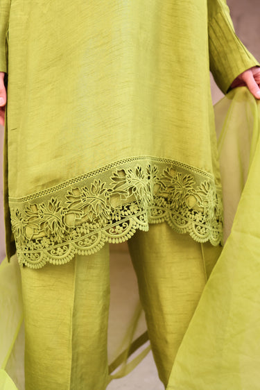 Parrot Puffy Clothing humyaunalamgir