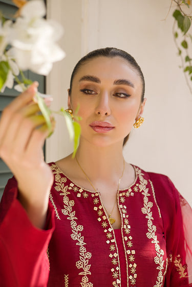 Beige on Red Humayun Alamgir