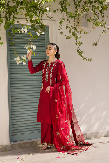 Beige on Red Humayun Alamgir