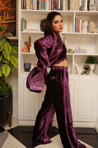 Velvet On Velvet Suit Clothing humyaunalamgir