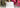 The Most Elegant Shalwar Kameez Designs for Women in 2025