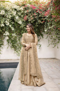 Golden Sharara Clothing humyaunalamgir