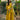 Mustard Yellow Clothing Humayun Alamgir