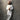 Ivory Pearl Hand-Embroidered Sherwani sherwani Humayun Alamgir