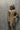 Royal Gold Handcrafted Sherwani sherwani Humayun Alamgir