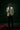 WHITE ARMANI 3P TUXEDO Humayunalamgir