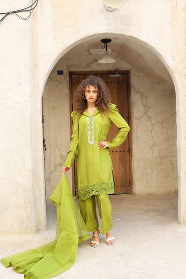 Parrot Puffy Clothing humyaunalamgir