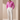 Chewing Pink Linen Shirt - H Logo Humayun Alamgir