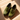 Green Crocodile-Embossed Leather Loafer Humayun Alamgir