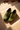 Green Crocodile-Embossed Leather Loafer Humayun Alamgir