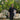 Black Mehraab Kurta Pajama Clothing Humayunalamgir