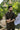 Olive Green Tarqee Kurta Pajama Clothing Humayunalamgir