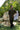 Olive Green Tarqee Kurta Pajama Clothing Humayunalamgir