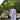 SERENE LILAC (4PC) Clothing Humayunalamgir