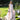 BLUSH PINK LALE (3PC) Clothing Humayunalamgir