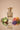 Sharati Perfumes HumayunAlamgir
