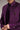 Royal Plum Embellished Prince Coat