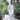 OFF WHITE COTTON SATIN KURTA PAJAMA Clothing Humayunalamgir