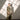 OLIVE SET Clothing Humayunalamgir