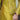 MUSTARD RAW SILK GOLDEN HANDWORK FRONT OPEN PRINCE COAT Mehndi Collection humyaunalamgir