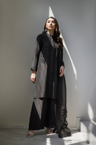 Black on Black HumayunAlamgir