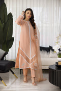 Peach Dress HumayunAlamgir XS 3 Piece